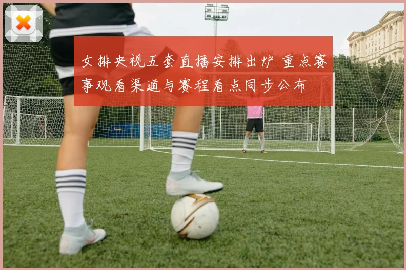 女排央视五套直播安排出炉 重点赛事观看渠道与赛程看点同步公布