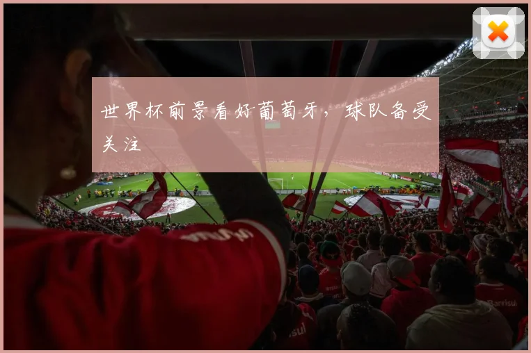 世界杯前景看好葡萄牙，球队备受关注