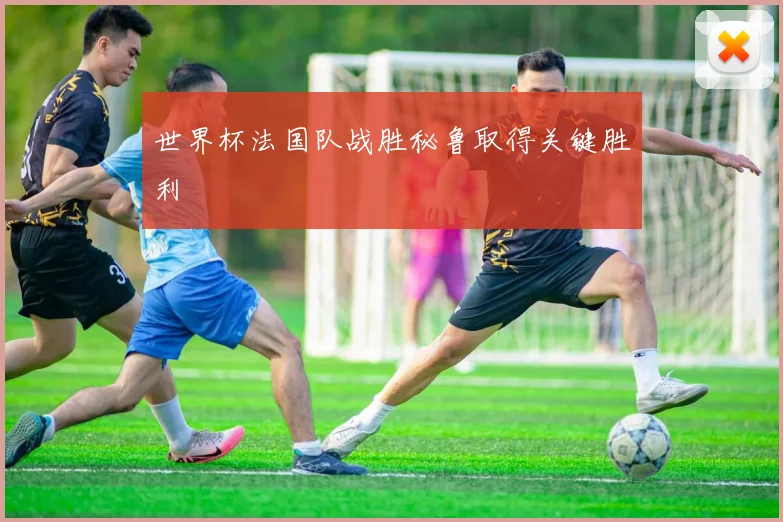 世界杯法国队战胜秘鲁取得关键胜利