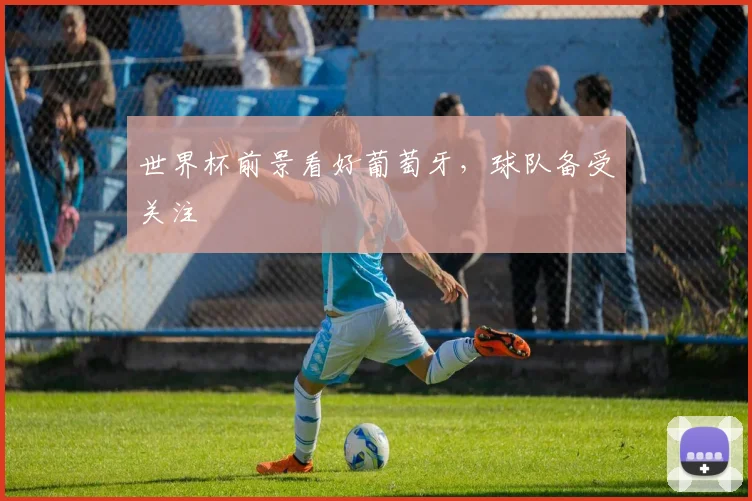 世界杯前景看好葡萄牙,球队备受关注