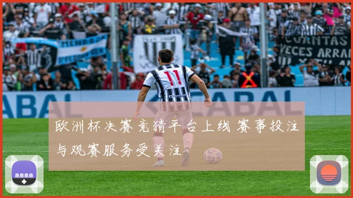 欧洲杯决赛竞猜平台上线 赛事投注与观赛服务受关注
