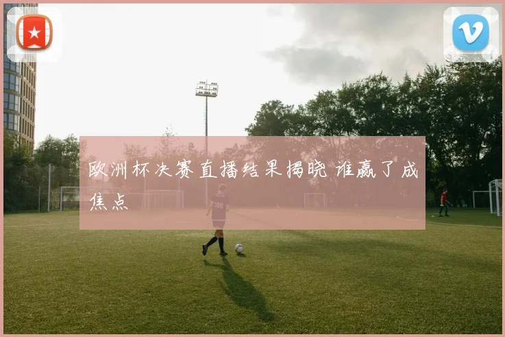 欧洲杯决赛直播结果揭晓 谁赢了成焦点