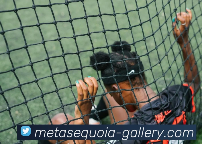 在线买世界杯平台平台生态图